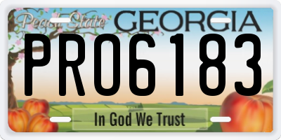 GA license plate PRO6183