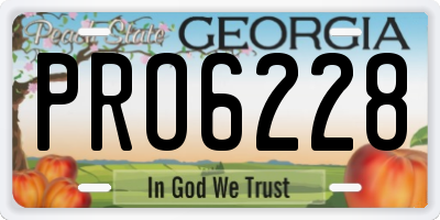 GA license plate PRO6228