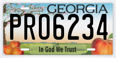 GA license plate PRO6234
