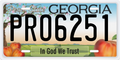 GA license plate PRO6251