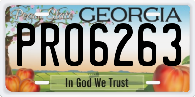 GA license plate PRO6263