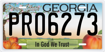 GA license plate PRO6273