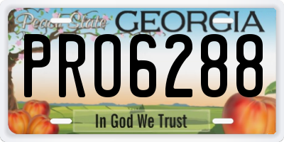 GA license plate PRO6288