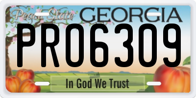 GA license plate PRO6309
