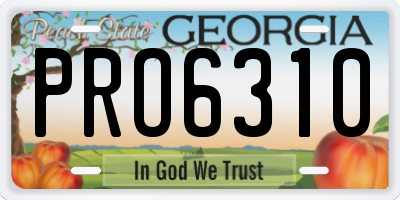 GA license plate PRO6310