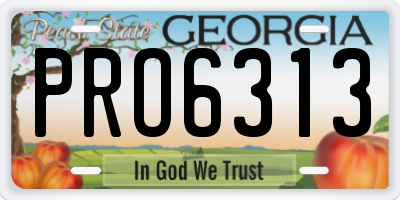 GA license plate PRO6313