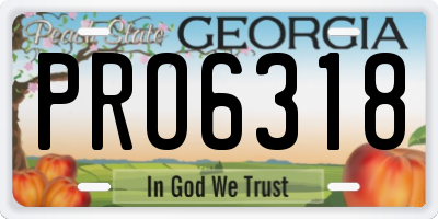 GA license plate PRO6318