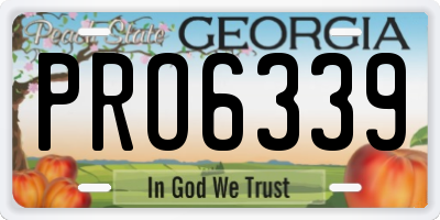 GA license plate PRO6339