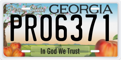 GA license plate PRO6371