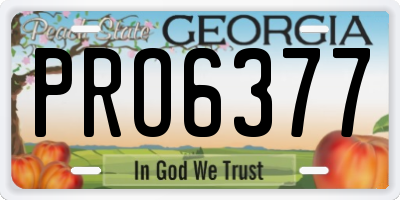 GA license plate PRO6377