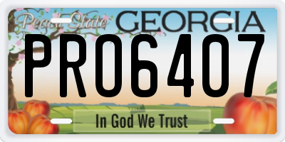 GA license plate PRO6407
