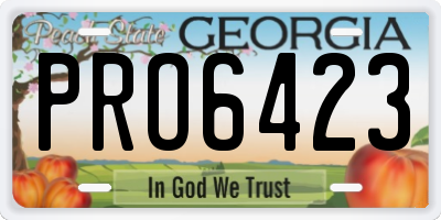 GA license plate PRO6423