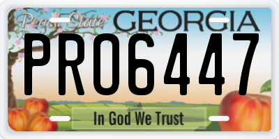 GA license plate PRO6447