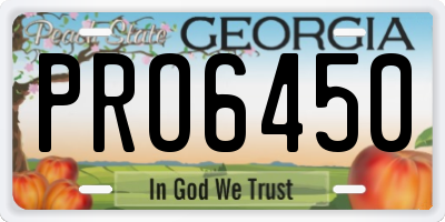 GA license plate PRO6450