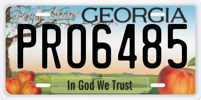 GA license plate PRO6485