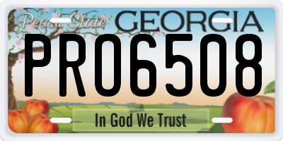 GA license plate PRO6508