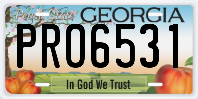 GA license plate PRO6531