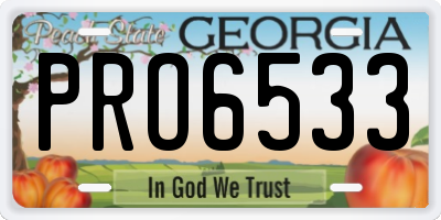 GA license plate PRO6533
