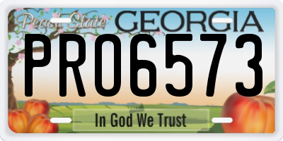 GA license plate PRO6573