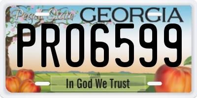 GA license plate PRO6599