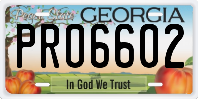 GA license plate PRO6602