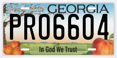 GA license plate PRO6604