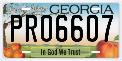 GA license plate PRO6607