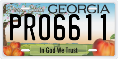 GA license plate PRO6611