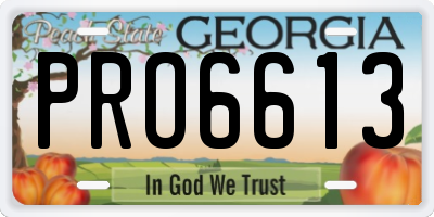 GA license plate PRO6613
