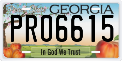 GA license plate PRO6615