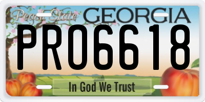 GA license plate PRO6618