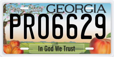 GA license plate PRO6629