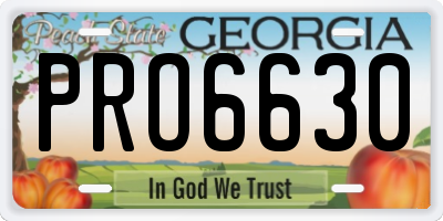 GA license plate PRO6630