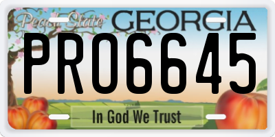 GA license plate PRO6645