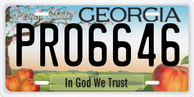 GA license plate PRO6646