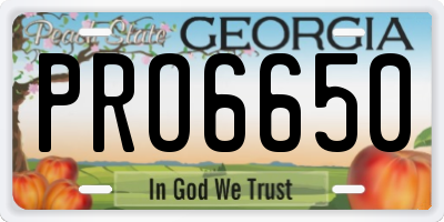 GA license plate PRO6650