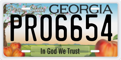 GA license plate PRO6654