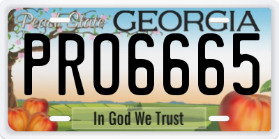 GA license plate PRO6665