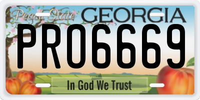 GA license plate PRO6669
