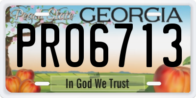 GA license plate PRO6713