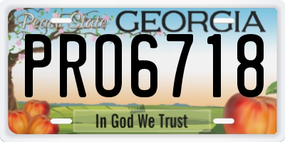 GA license plate PRO6718