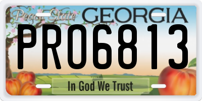 GA license plate PRO6813