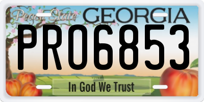 GA license plate PRO6853
