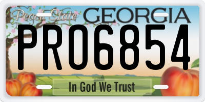 GA license plate PRO6854