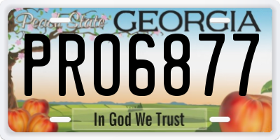 GA license plate PRO6877