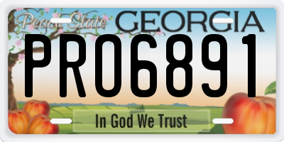 GA license plate PRO6891