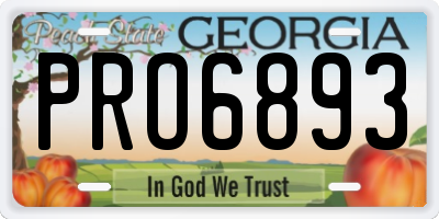 GA license plate PRO6893