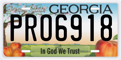 GA license plate PRO6918