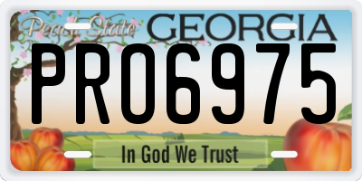GA license plate PRO6975