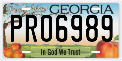 GA license plate PRO6989